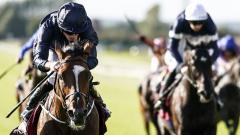 Horses running